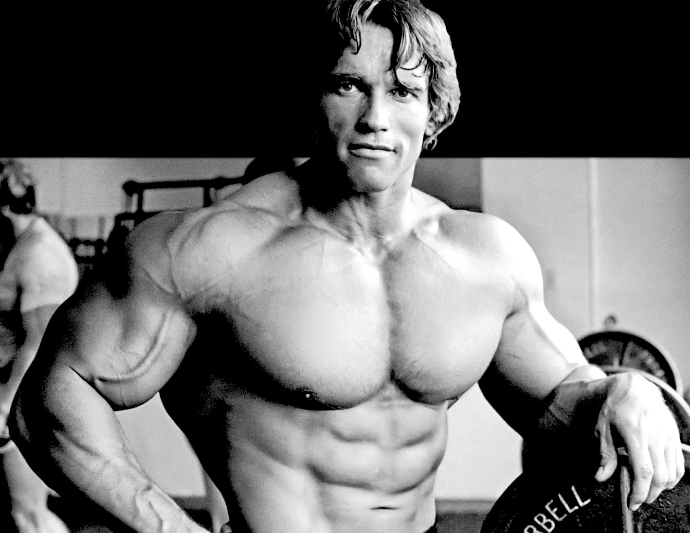 Train like Arnold Schwazenegger for less